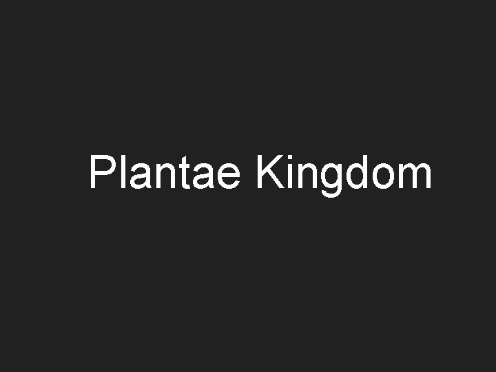 Plantae Kingdom 