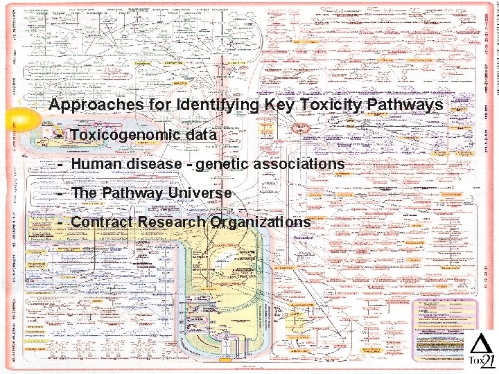 Approaches for Identifying Key Toxicity Pathways - Toxicogenomic data - Human disease - genetic