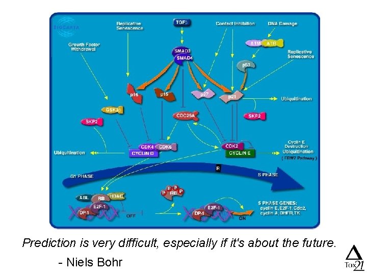 Prediction is very difficult, especially if it's about the future. - Niels Bohr 