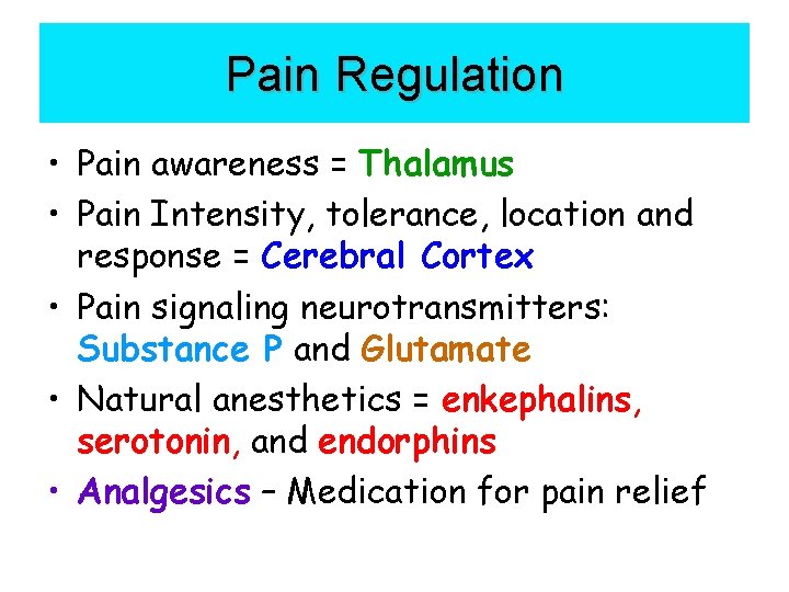 Pain Regulation • Pain awareness = Thalamus • Pain Intensity, tolerance, location and response