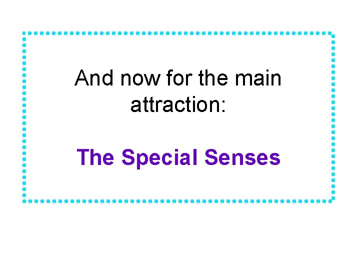 And now for the main attraction: The Special Senses 
