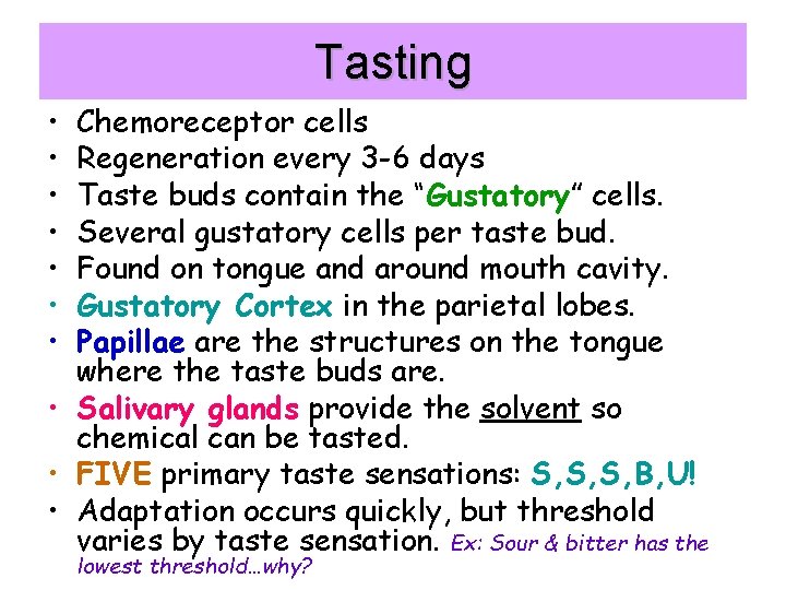 Tasting • • Chemoreceptor cells Regeneration every 3 -6 days Taste buds contain the