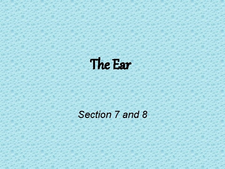 The Ear Section 7 and 8 