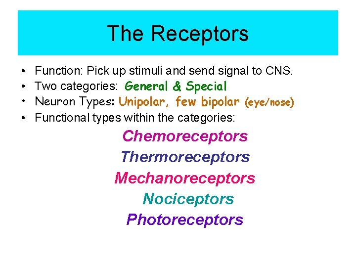 The Receptors • • Function: Pick up stimuli and send signal to CNS. Two