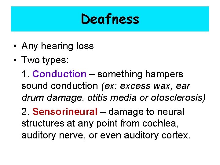 Deafness • Any hearing loss • Two types: 1. Conduction – something hampers sound