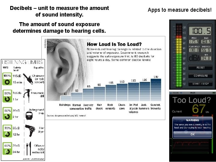 Decibels – unit to measure the amount of sound intensity. The amount of sound