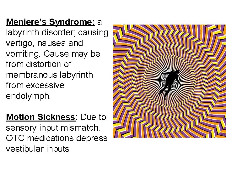 Meniere’s Syndrome: a labyrinth disorder; causing vertigo, nausea and vomiting. Cause may be from