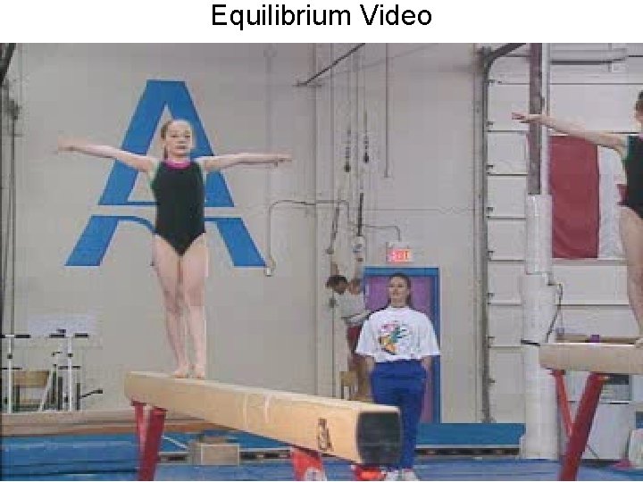 Equilibrium Video 