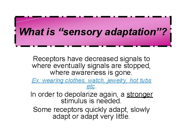 What is “sensory adaptation”? Receptors have decreased signals to where eventually signals are stopped,