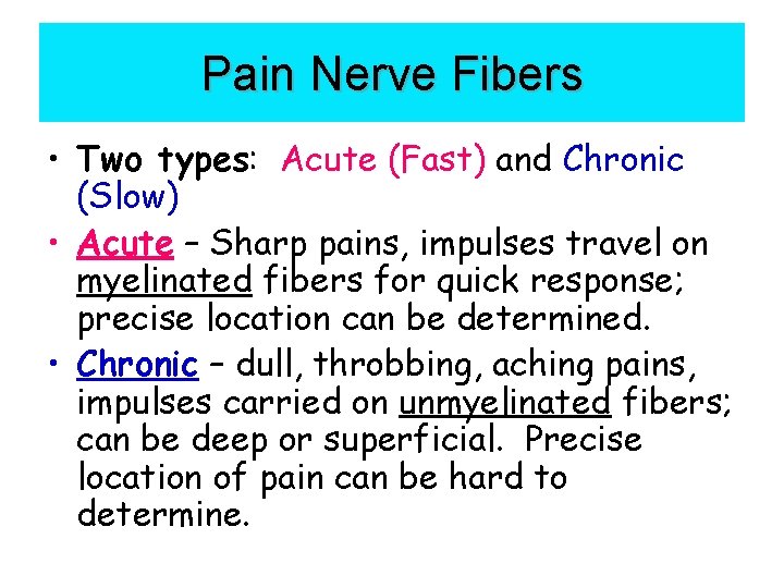 Pain Nerve Fibers • Two types: Acute (Fast) and Chronic (Slow) • Acute –