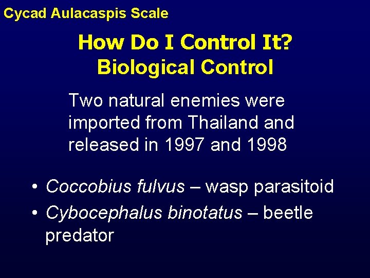 Cycad Aulacaspis Scale How Do I Control It? Biological Control Two natural enemies were