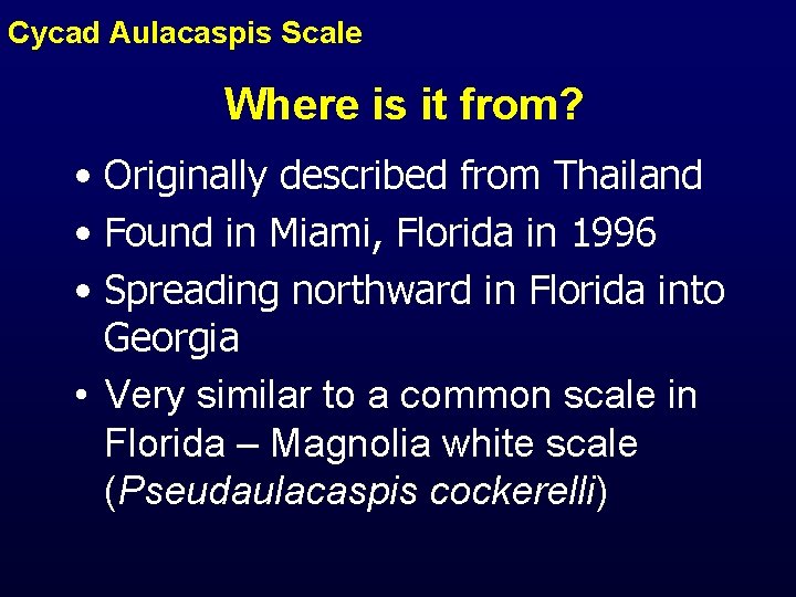Cycad Aulacaspis Scale Where is it from? • Originally described from Thailand • Found