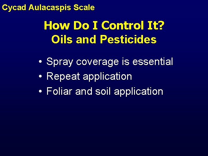 Cycad Aulacaspis Scale How Do I Control It? Oils and Pesticides • Spray coverage