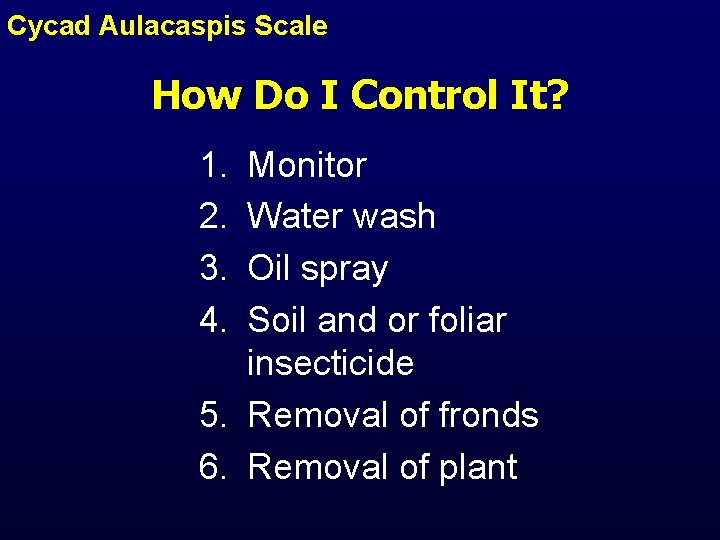 Cycad Aulacaspis Scale How Do I Control It? 1. 2. 3. 4. Monitor Water