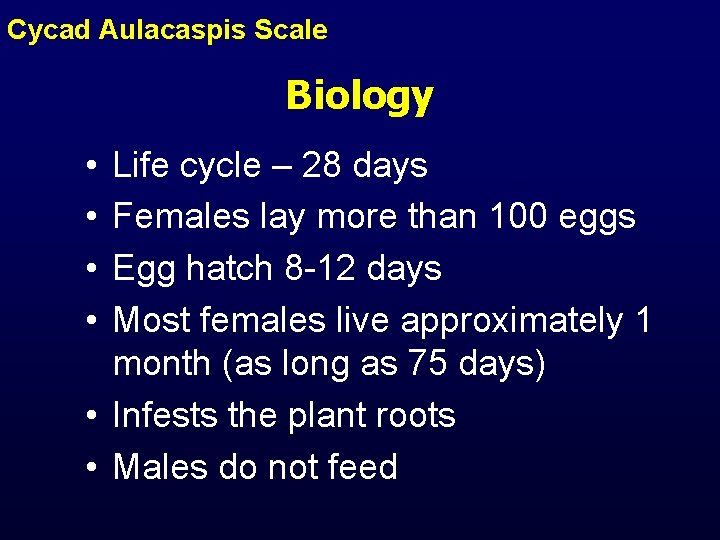Cycad Aulacaspis Scale Biology • • Life cycle – 28 days Females lay more