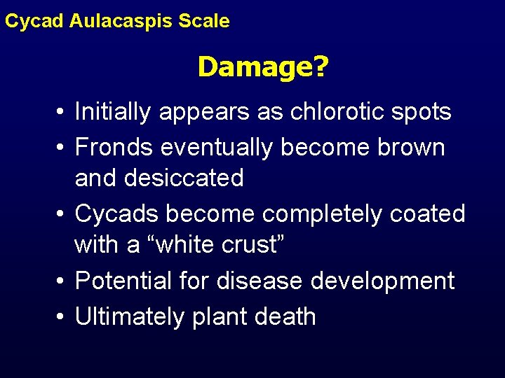 Cycad Aulacaspis Scale Damage? • Initially appears as chlorotic spots • Fronds eventually become