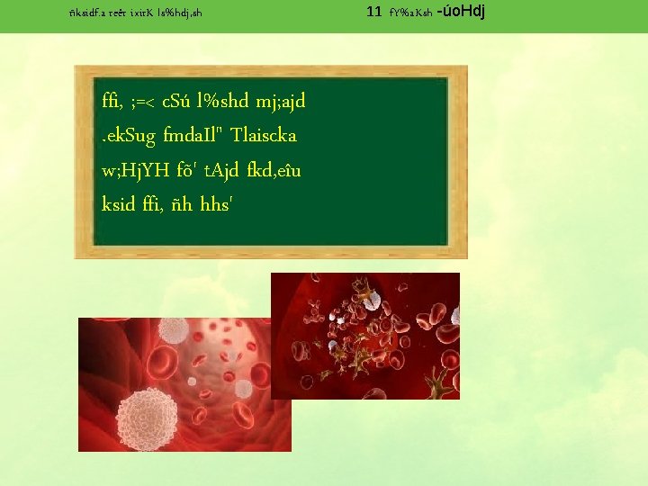 Ksidf A Rer Ixir K Lshdj Sh 11