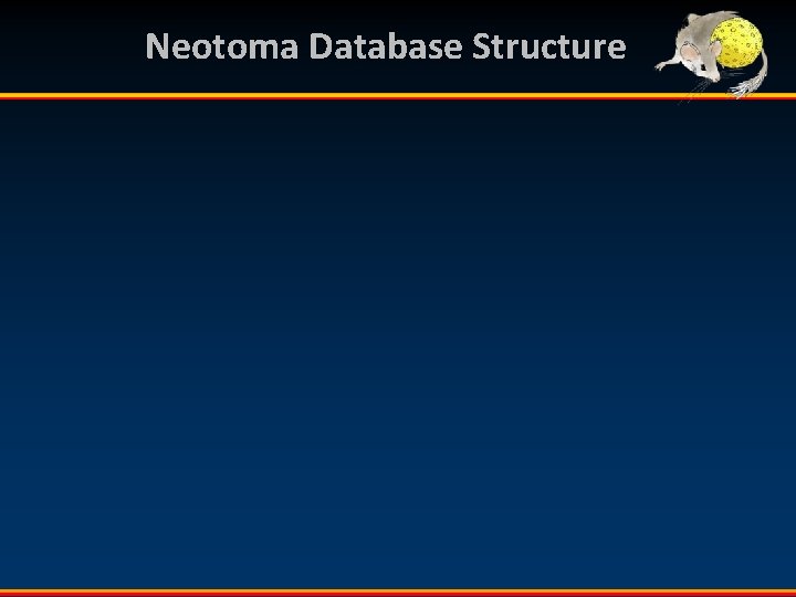 Neotoma Database Structure 