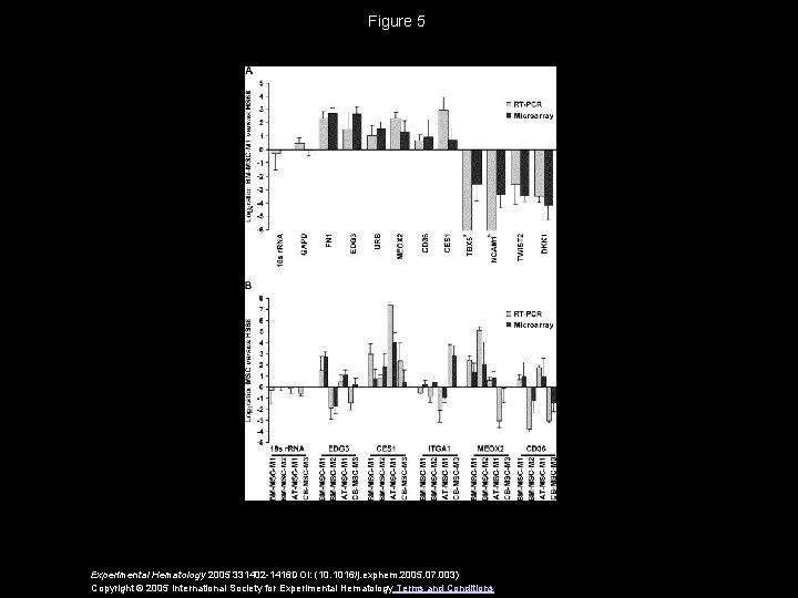 Figure 5 Experimental Hematology 2005 331402 -1416 DOI: (10. 1016/j. exphem. 2005. 07. 003)