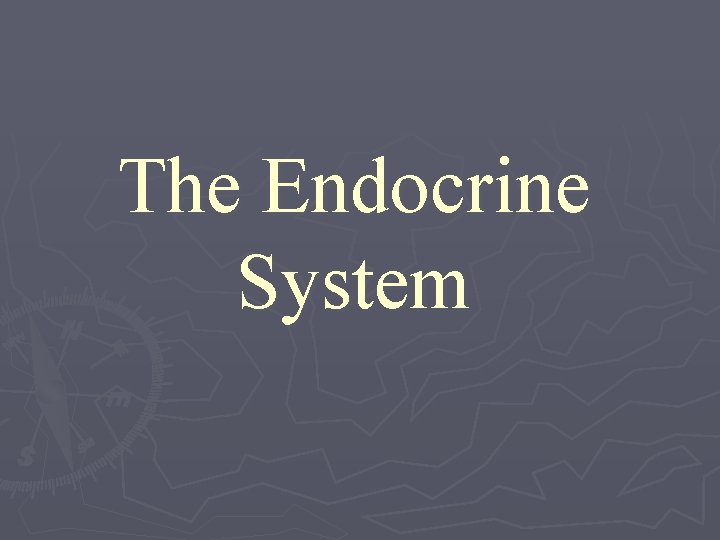 The Endocrine System 