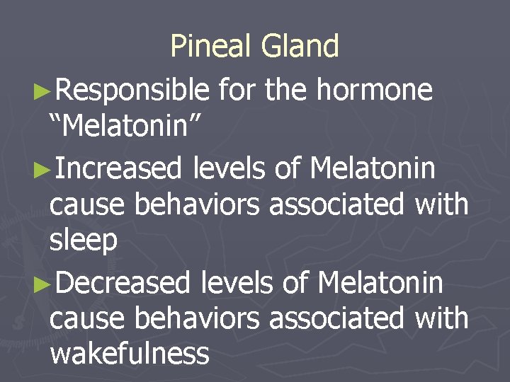 Pineal Gland ►Responsible for the hormone “Melatonin” ►Increased levels of Melatonin cause behaviors associated