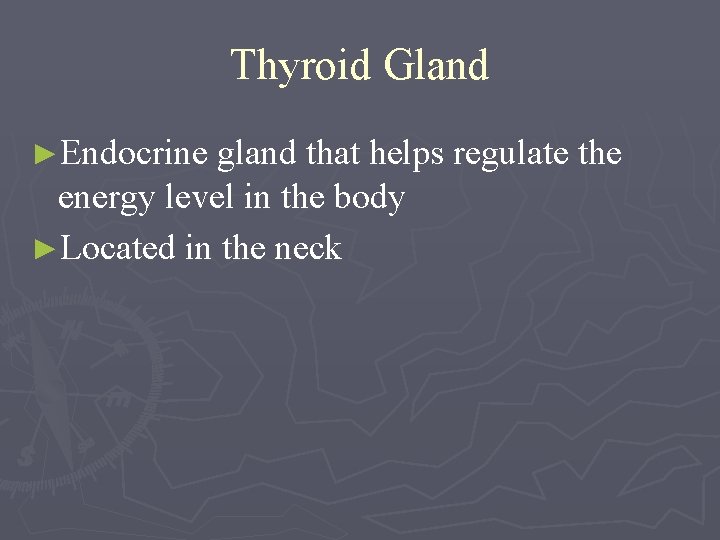 Thyroid Gland ►Endocrine gland that helps regulate the energy level in the body ►Located