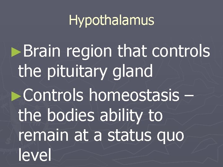 Hypothalamus ►Brain region that controls the pituitary gland ►Controls homeostasis – the bodies ability