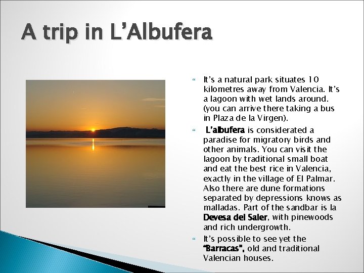 A trip in L’Albufera It’s a natural park situates 10 kilometres away from Valencia.