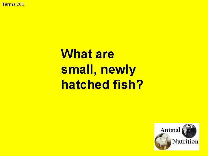Terms 200 What are small, newly hatched fish? 