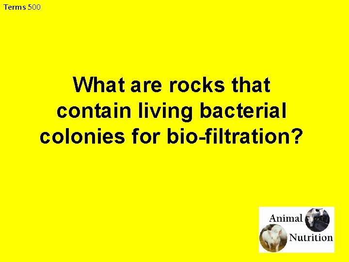 Terms 500 What are rocks that contain living bacterial colonies for bio-filtration? 