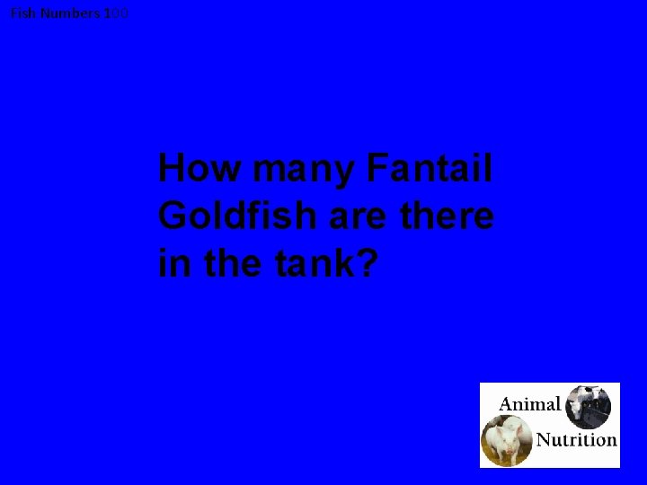 Fish Numbers 100 How many Fantail Goldfish are there in the tank? 