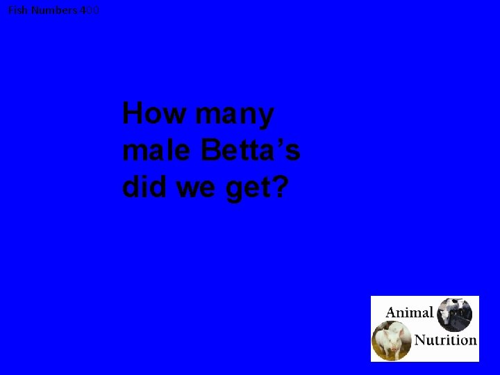 Fish Numbers 400 How many male Betta’s did we get? 