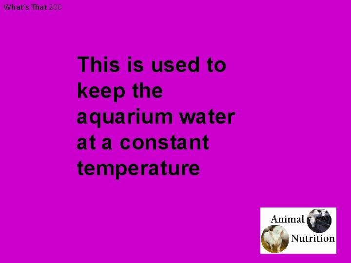 What’s That 200 This is used to keep the aquarium water at a constant