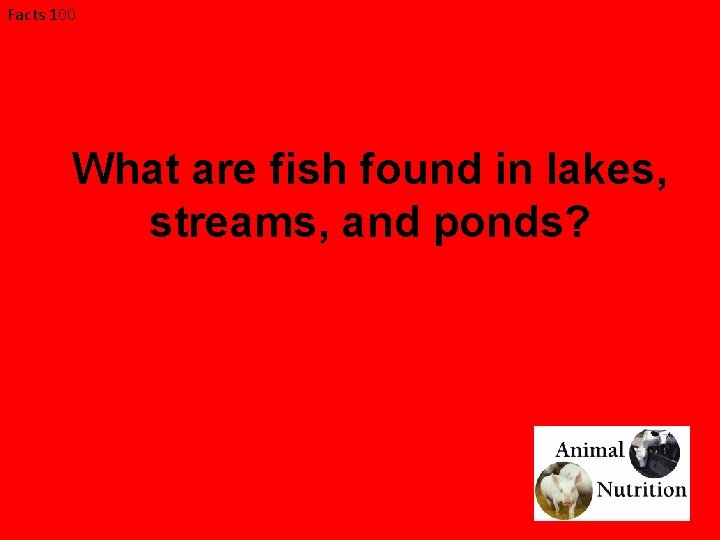 Facts 100 What are fish found in lakes, streams, and ponds? 