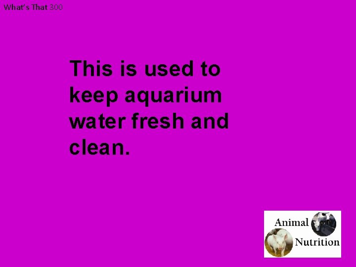 What’s That 300 This is used to keep aquarium water fresh and clean. 