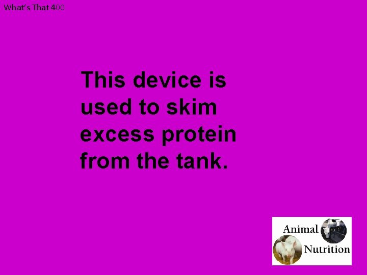 What’s That 400 This device is used to skim excess protein from the tank.