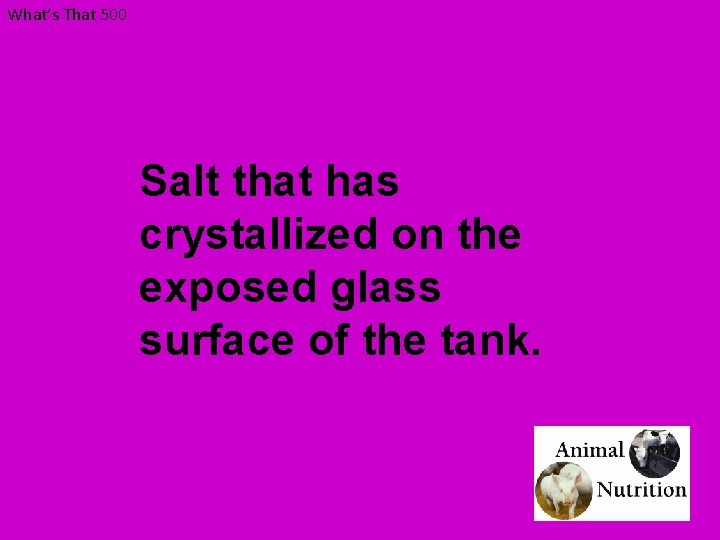 What’s That 500 Salt that has crystallized on the exposed glass surface of the