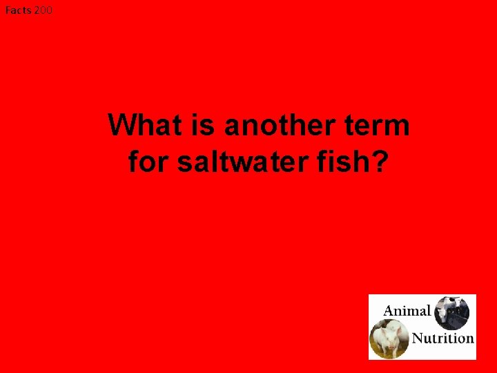 Facts 200 What is another term for saltwater fish? 