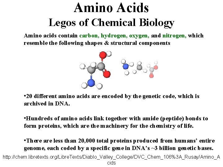 Amino Acids Legos of Chemical Biology Amino acids contain carbon, hydrogen, oxygen, and nitrogen,