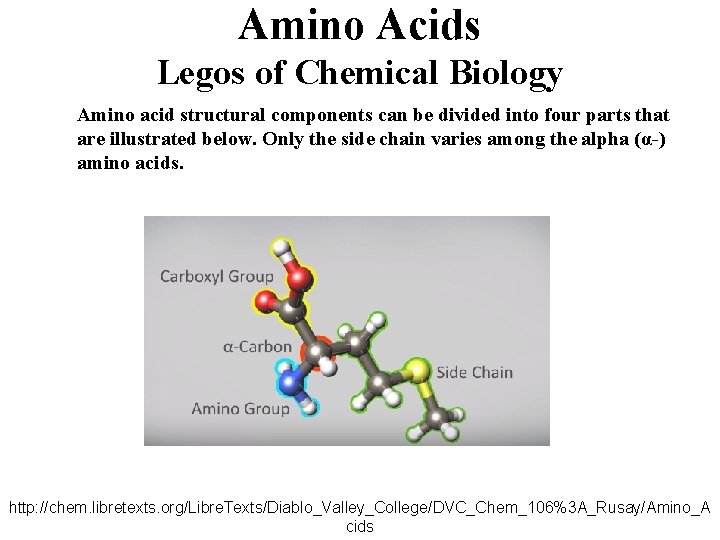 Amino Acids Legos of Chemical Biology Amino acid structural components can be divided into