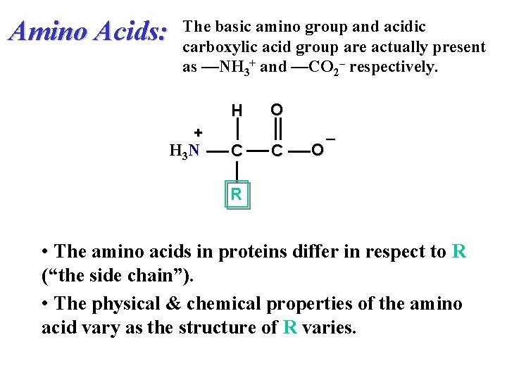 Amino Acids: The basic amino group and acidic carboxylic acid group are actually present