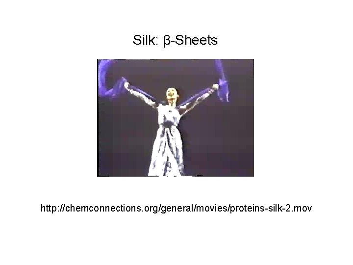 Silk: β-Sheets http: //chemconnections. org/general/movies/proteins-silk-2. mov 
