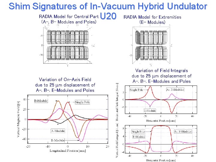 Shim Signatures of In-Vacuum Hybrid Undulator RADIA Model for Central Part U 20 RADIA