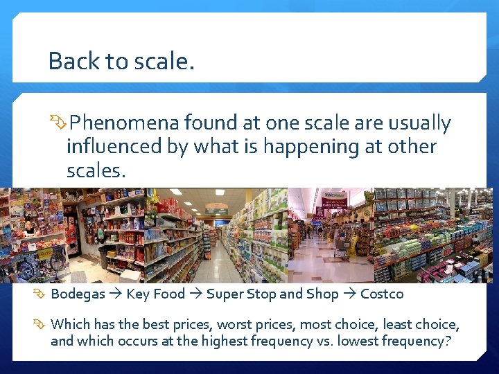 Back to scale. Phenomena found at one scale are usually influenced by what is