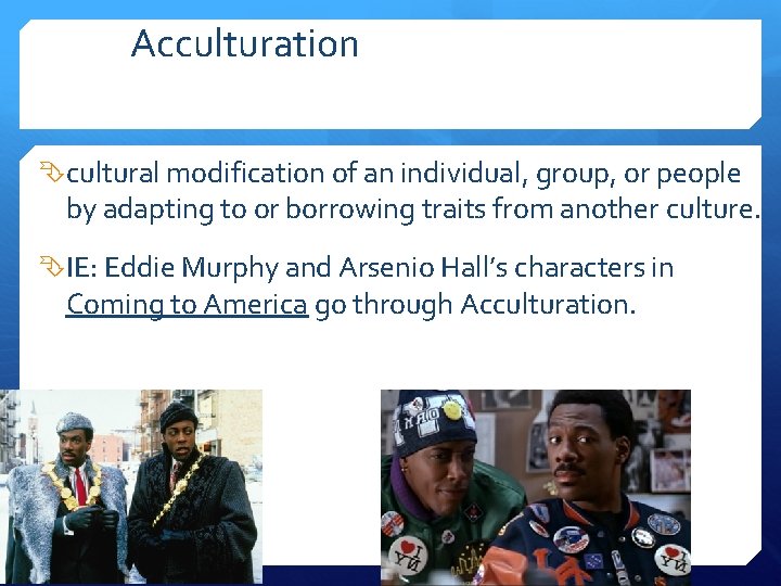 Acculturation cultural modification of an individual, group, or people by adapting to or borrowing