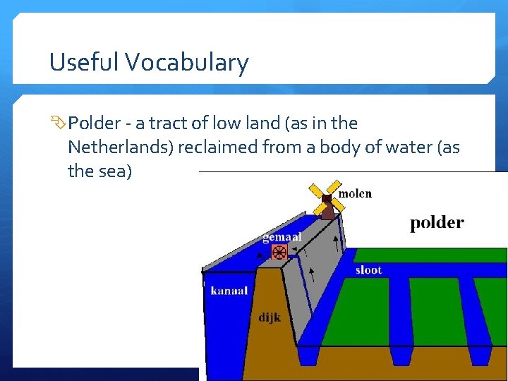 Useful Vocabulary Polder - a tract of low land (as in the Netherlands) reclaimed