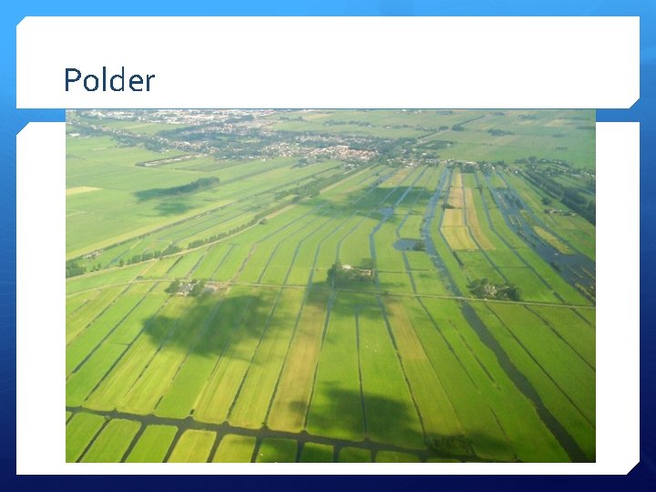Polder 