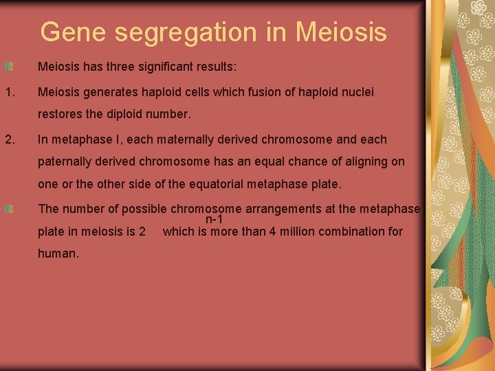 Gene segregation in Meiosis has three significant results: 1. Meiosis generates haploid cells which
