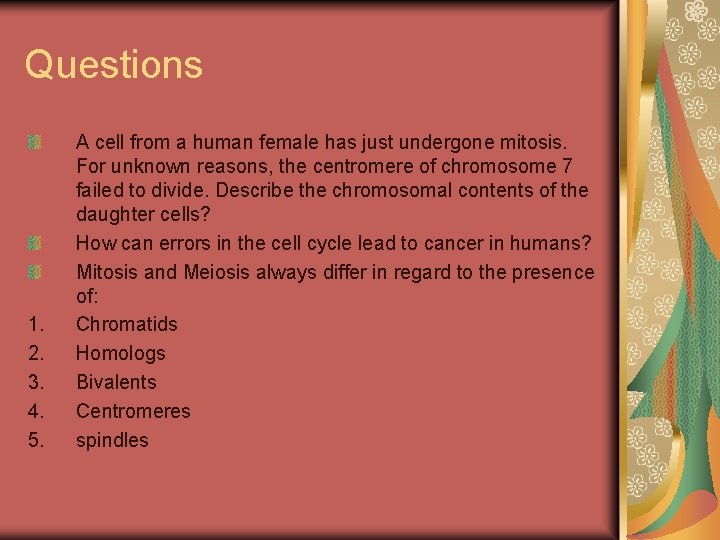 Questions 1. 2. 3. 4. 5. A cell from a human female has just