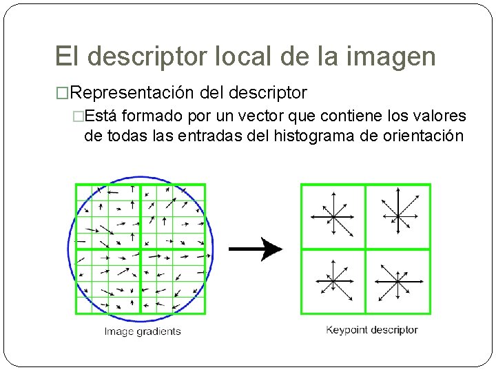 El descriptor local de la imagen �Representación del descriptor �Está formado por un vector